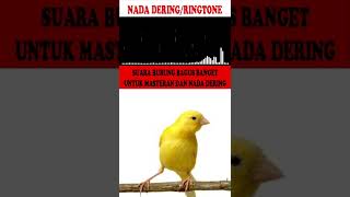 Download lagu NADA DERING|RINGTONE|MASTERAN BURUNG SUARA KICAUAN KENARI GACOR TEMBAKAN KASARAN PART-5 mp3 Download lagu NADA DERING|RINGTONE|MASTERAN BURUNG SUARA KICAUAN KENARI GACOR TEMBAKAN KASARAN PART-5 mp3