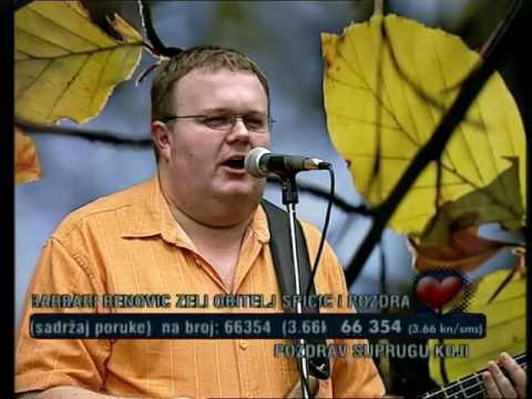 stari prijatelji-pas bez lanca