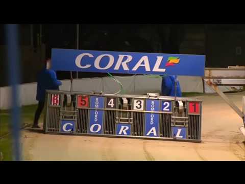 Forest Chunk - Romford Golden Sprint 2018