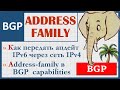 6 8 BGP Border Gateway Protocol Часть 8 Address Family