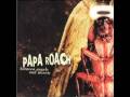 between angels and insects -- acoustic papa roach ...