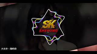 Download lagu 大头针 - 海屿你 DJ-MJ Electro Remix 2k26  mp3