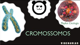 Cromossomos