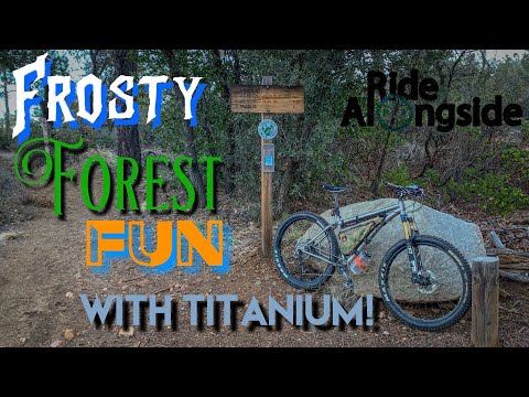 Frosty Forest Fun with Titanium