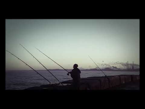 Noordpier 7 november 2017  Volop vis met Sytse