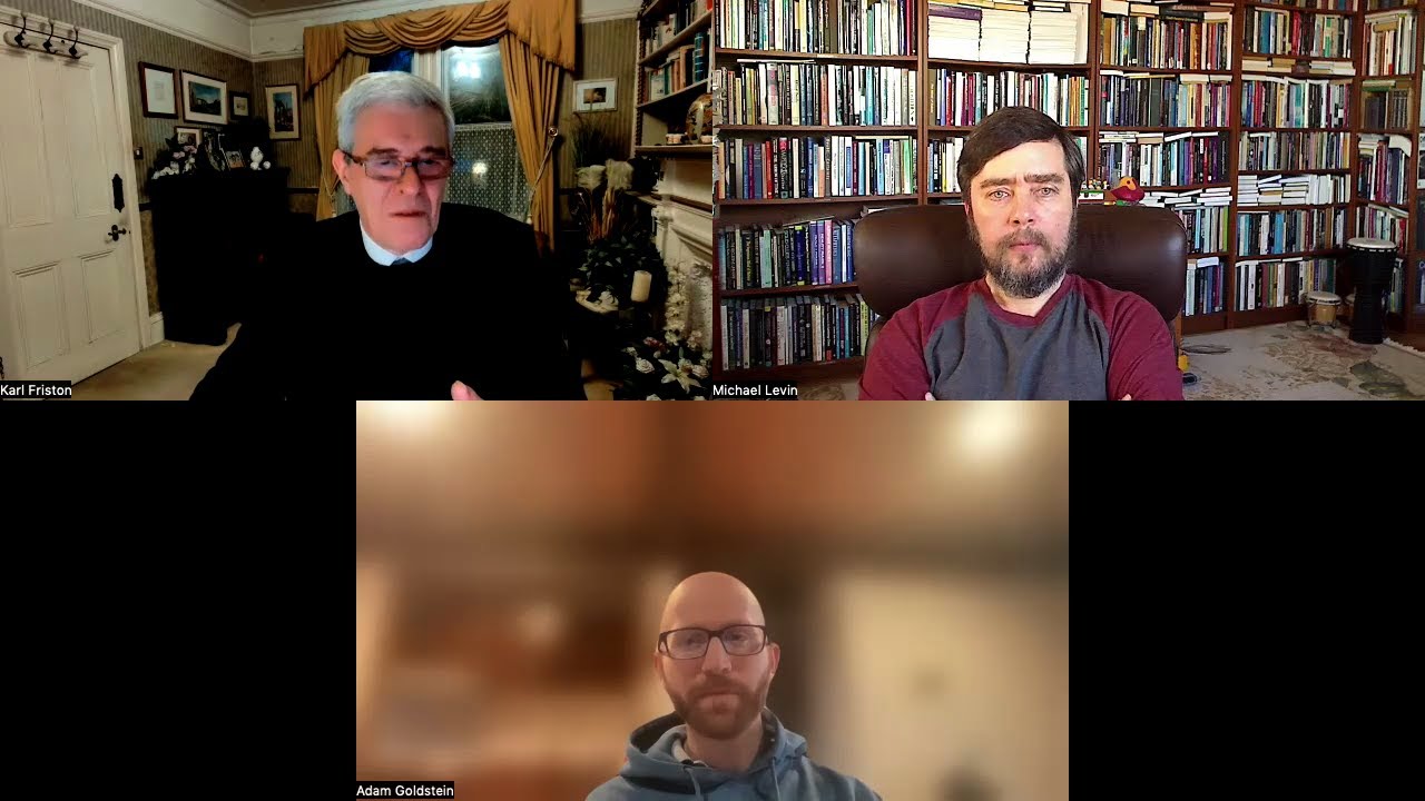 Karl Friston, Adam Goldstein, and Michael Levin discuss active inference and algorithms
