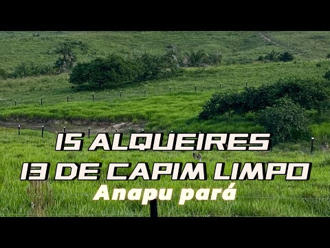 Sítio de 15 alqueires na região de Anapu pá ! Coisa de luxo ! Confiram o vídeo 😳😱.