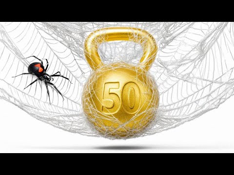 Quanto Peso uma Teia de Aranha Pode Suportar?