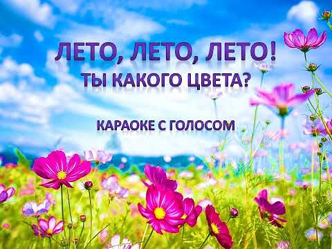 Лето, лето, лето, ты какого цвета? Караоке с голосом