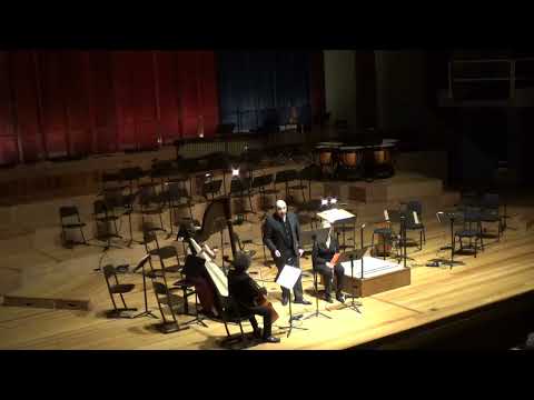 Francesca Caccini: La Pastorella mia/Pascale Van Os - Dimitri Lerner bendersky - Virago SO