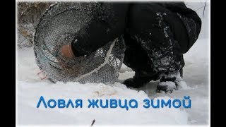 Ловля карася в морды зимой