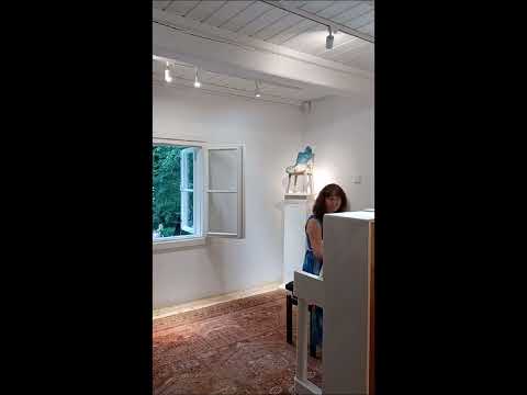 Polski salon romantyczny. Anna Hajduk - Rynkowicz