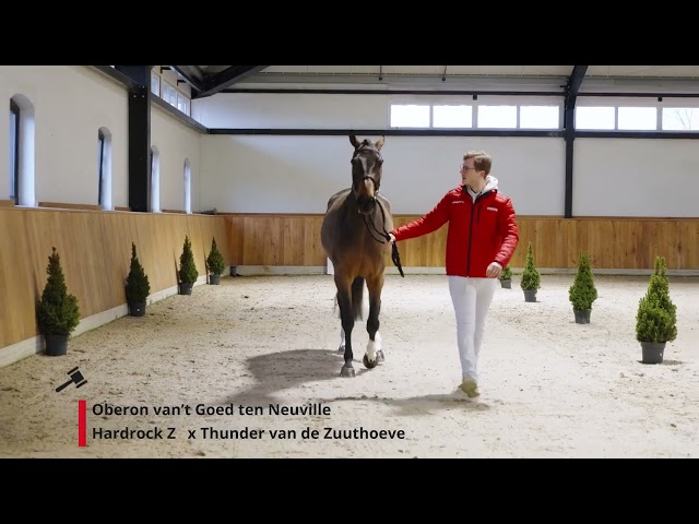 Uberon van’t Goed ten Neuville