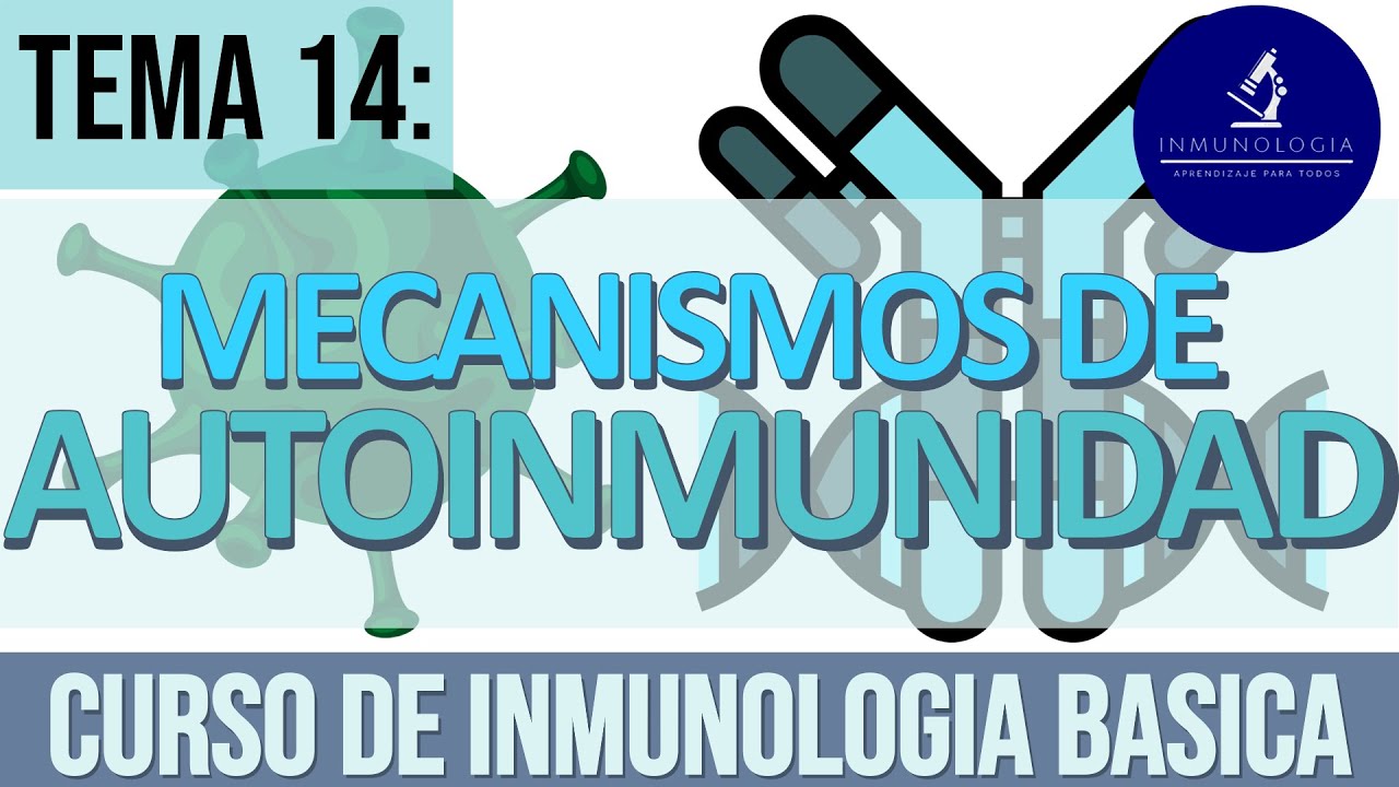 Autoinmunidad | Mecanismos de autoinmunidad - Factores genéticos y anomalías inmunitarias