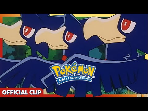 Mischievous Murkrow! | Pokémon: Johto League Champions | Official Clip