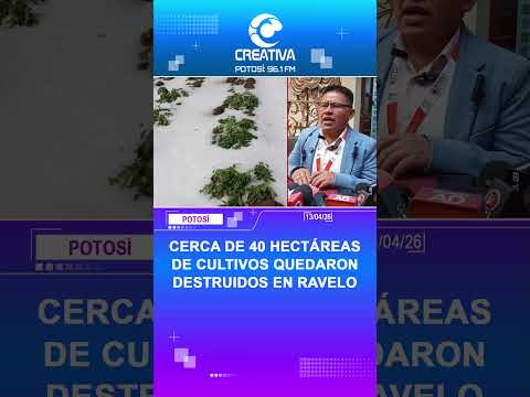 CERCA DE 40 HECTAREAS DE CULTIVOS QUEDARON DESTRUIDOS EN RAVELO