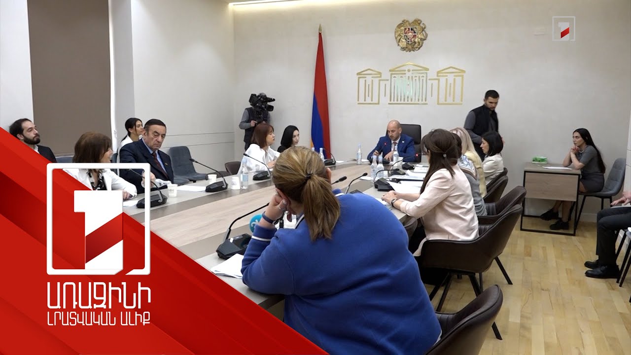 Կառավարության ծրագրի 2024-ի կատարողականի զեկույցը՝ ԱԺ հանձնաժողովներում