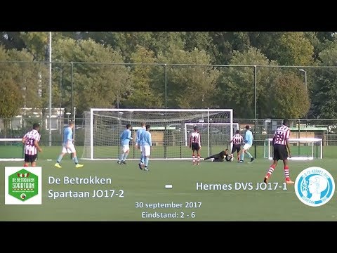 Samenvatting De Betrokken Spartaan JO17-2 - Hermes DVS JO17-1