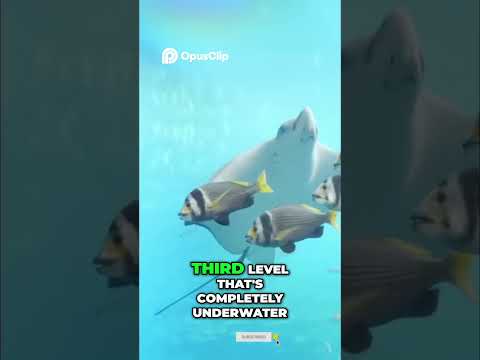 How are we here So after we found our way off this five hundred foot picture frame we made our way