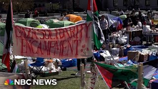 Pro-Palestinian encampments grow on college campuses in the U.S.