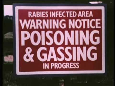 Rabies Outbreak (1976) British Public Information Films