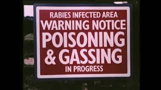 Rabies Outbreak (1976) British Public Information Films