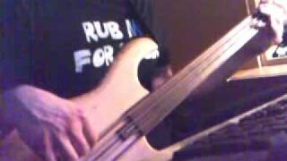 Control Denied - Breaking the Broken - bass cover