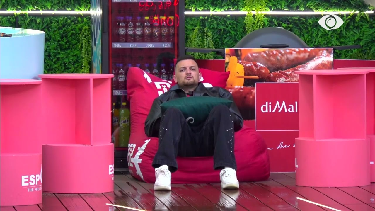 Shëndriti këndon i vetëm në oborr