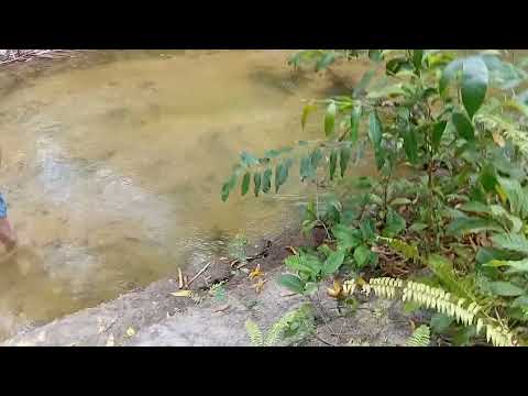 RIO PIUM - NÍSIA FLORESTA - RIO GRANDE DO NORTE