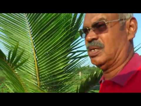 012 Green caare Biocide For Agriculture And Organic Farming