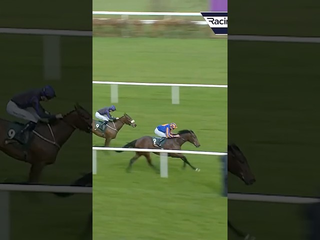 Thumbnail for Post ID: Apc5DtsjOQI