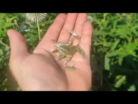 30 августа 2022 г.