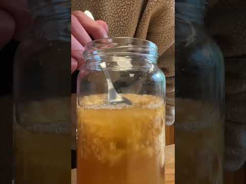 How to make a Ginger Bug (Ginger Beer Starter)