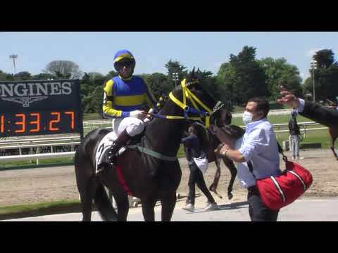 211024 c01 IZZY BLUME (BRZ)