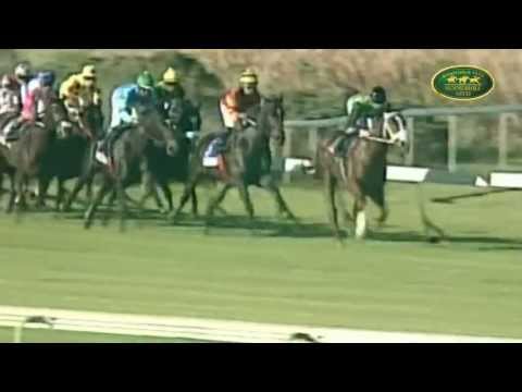 BLUERIDGE MOUNTAIN : RTT SWEET CHESTNUT STAKES (L) 2013