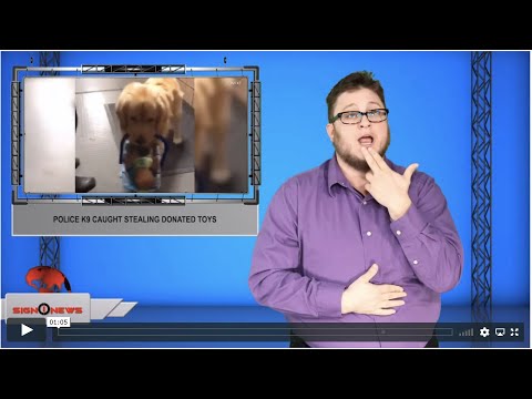 Police K9 caught stealing donated toys (ASL - 12.21.19)