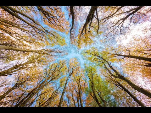 Day 8 Alignment Matias De Stefano