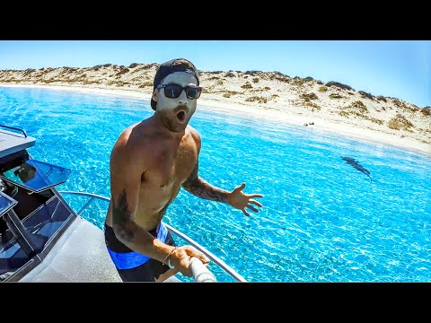 I BOUGHT MY DREAM HOUSE ON A REMOTE BEACH (Amazing Hammerhead Shark In Shallow Water) - Ep 240