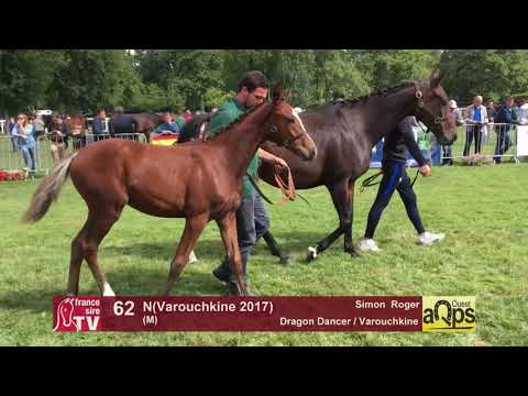 Show AQPS Lion 2017 : Lot 62 - N(Varouchkine - 2017)