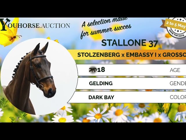 Stallone showvideo indoor