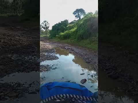 Arroyo en San José del Llano Badiraguato Sinaloa México #arroyo #sanjosedelllano #bad #shortvideo
