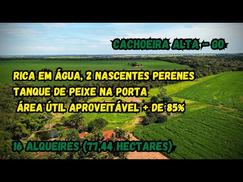 FAZENDA À VENDA EM CACHOEIRA ALTA GO | 16 Alqueires com Nascentes, Represa, Curral 