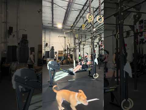 TTT Winter Is Coming Classic Workout #2