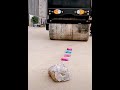 It S Easy For A Small Road Roller To Crush Stones