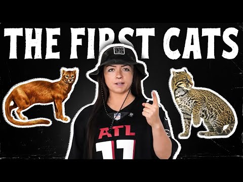 The First Cats (That We Know Of) I Episode 1 | Lindsay Nikole