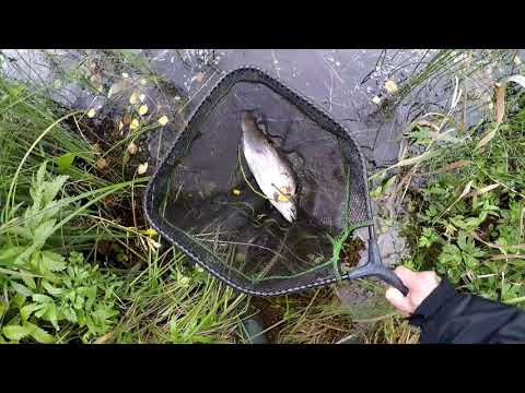 Merikarvianjoki 20.9.2019 | perhokalastus 2019 | kalastus 2019