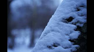 Me &amp; My - Can&#39;t Forget The Past (doomerwave)