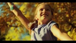 DER GRAF IN ORANGEN | THE COUNT IN ORANGES