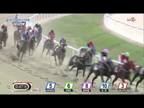 Busan Mayor's Cup 2015 - Gamdonguibada