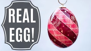 Real Egg Christmas Ornament